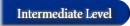 Intermediary Level